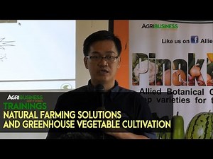 Natural Farming Philippines: What are the Natural Farming Solutions in Greenhouse Vegetable Farming