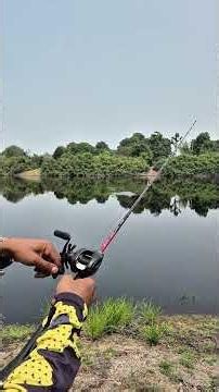 Lightweight, beast-mode power, high gear ratio. Seahunter Turbo Max baitcasting reel. #seahuntert...