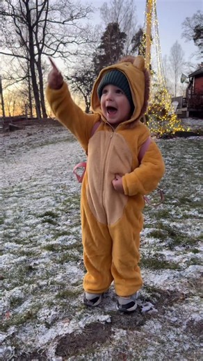 Rachel Brathen | The MOON!!! AHHH!!! (we both react the same every single time we see the moon in the sky)🌕 So this little lion cub is on his way to... | Instagram