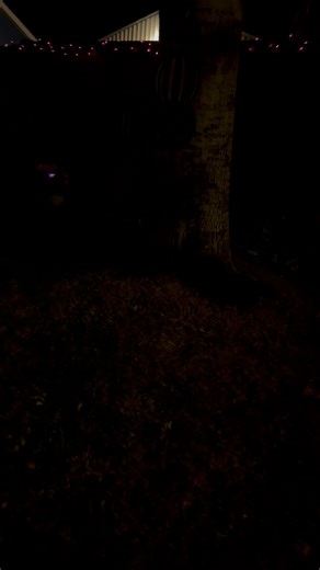 5 comments | Sharon Lee on Reels | Facebook