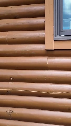What no one tells you about owning a log cabin in Florida
