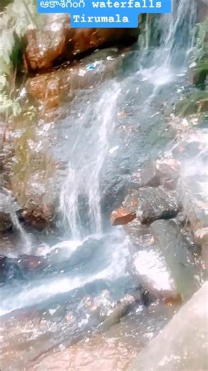 aakashaganga waterfalls in Tirumala | తిరుమల ఆకాశగంగ జలపాతం | #manahindutemplestelugu #shorts
