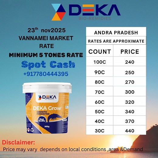 7780444395 #VannameiRates #ShrimpMarket #AquaMarket #PrawnRates #ShrimpFarming #AquaFarmers #VannameiShrimp #AquaUpdates #AndhraPrawns #AquaBusiness #DekaBioRemedies #ShrimpPriceTomorrow | Deka Bio Remidies