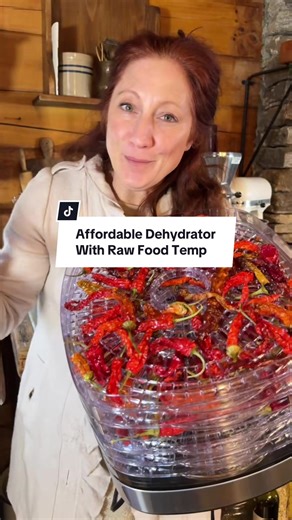 Affordable Food Dehydrator for Home Preservation