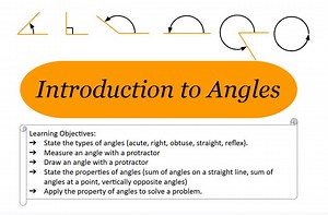 Angles: Introduction worksheet & Solutions - Etsy Canada