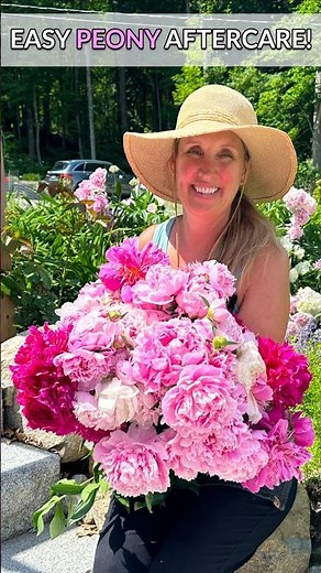 This Peony Aftercare Trick Doubles Your Blooms 🌸 #peonies #garden