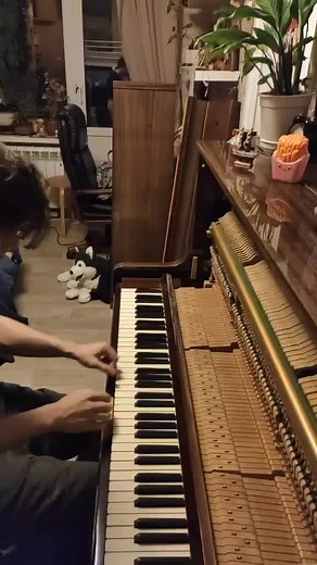 #myheartwillgoon #celinedion #titanic #piano #pianocover