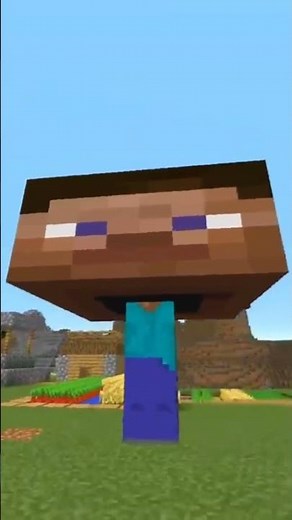 The Most Terrible Minecraft Gameplay Moments