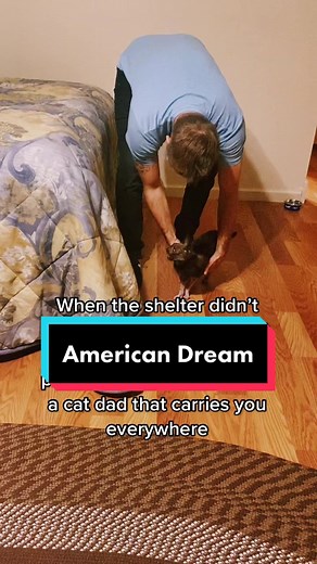 Barbie Girl Challenge: Wolfcat Lykoi Cat Dads American Dream