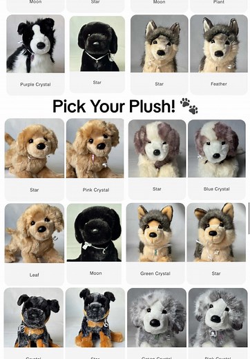 Experience Pick Your Plush: Choose Your Perfect Plushie!