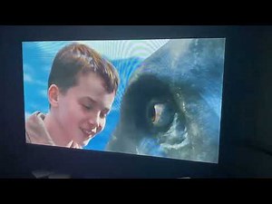 Opening To Surf’s Up 2007 DVD