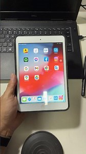 iPad mini 1, 2, and 3