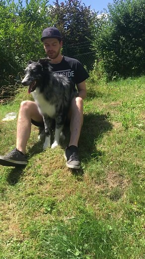 Purzelbaum Dog Tricks Challenge with Aussie Morty