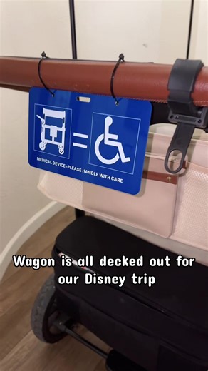 Disney Trip Tips for Kids with Sensory Sensitivities