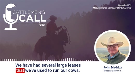 On the Cattlemen's Call Podcast, John Maddux from the Maddux Cattle Company discusses herd dispersal in 2026 at the Ogallala Livestock Auction from their property in southwest Nebraska. To hear the full episode about this dispersion, cattle genetics and breeding, listen anywhere you find podcasts or on YouTube using the link below. https://bit.ly/3NlyDSh | National Cattlemen's Beef Association