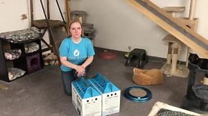 12K views · 539 reactions | Unboxing!  Meet 4 new KITTENS: Clyde, Leopold, Edie, and Seymour! Amanda’s last unboxing ever as a staff member!    | River Kitty Cat Cafe | Facebook