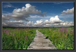 Connecticut - Alchetron, The Free Social Encyclopedia