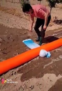 Amazing workers amazing skill amazing technology | Robert Mugabe Quotes