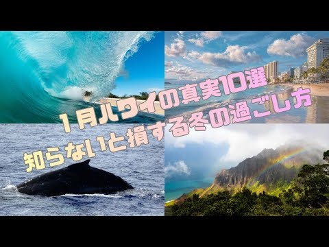 1月ハワイの真実10選｜行く前に必ず見て 「1月のハワイって寒い？気温・海・注意点を解説」