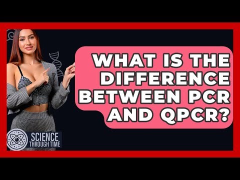 What Is The Difference Between PCR And QPCR? - Science Through Time
