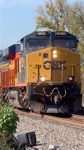 CSX 1973 Chessie Systems Heritage Screams Past On Manifest!