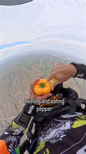 Peeling and eating pepper 🫑. Parachute landing. #Pepper #Skydiving #Shorts #HealthyFood