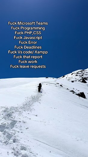Developer's Frustration: Coding & Work Woes