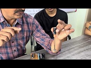 How homopolar motor works?