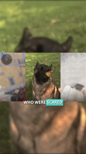 Valve did a good job?