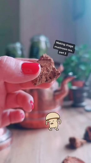 How to Make Chaga Mushroom Tea: Traditional Recipe