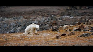 "The continuation of our civilization and the natural world on which we depend is in our hands!" Join the global movement to protect 30% of land and ocean by 2030 and sign the petition today: https://buff.ly/3eIrA0b 🌎🌏🌍 🎥 Ocean Unite #30x30 #love30x30 #ProtectOurHome #WorldOceansDay | World Ocean Day