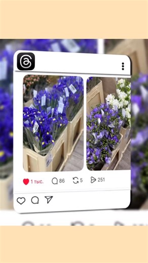 Цветы оптом Гродно on Instagram: "Наша электронная рабочая почта vbflowers@mail.ru всегда открыта к вашим просьбам, предложениям и замечаниям 🥹 Благодарим, что через ваши покупки, внимание и поддержку мы можем делать маленькие добрые дела 🙏"