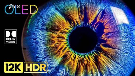 感受真正品质超清展现2 转4K HDR I屏幕测试，极致画质|杜比视界|电视屏幕测试|手机屏幕测试