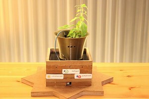 How to Make a Smart Garden with LED Notifications #Arduino