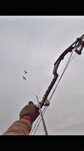 Fast aim, perfect shot! Watch this epic duck hunting moment 🦆🔥