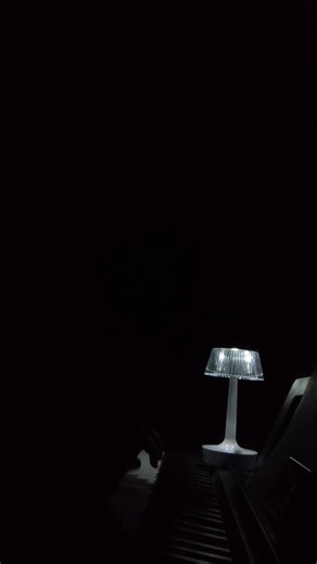 Chopin - Nocturne in C minor #piano #music #chopin #nocturne #fyp