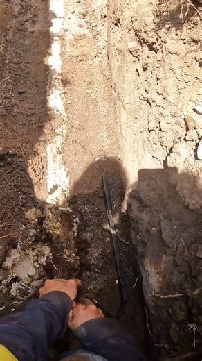 8.6K views · 2.1K reactions | Roots in sewer pipe #plumber #bundaberg #drainage | Killer Plumbing and Gas | Facebook