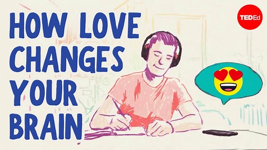 What happens in your brain when you fall in love? And why do breakups feel so awful? The neuroscience of love: | TED-Ed