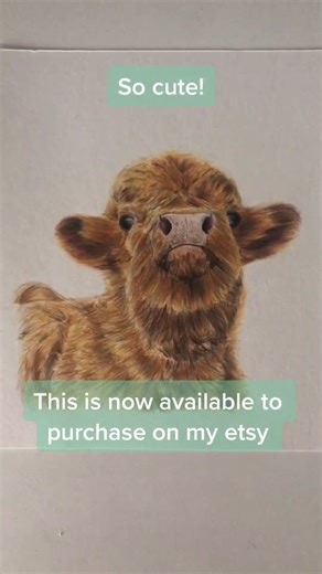 Highland Cow Drawing Process | Quick Art Time-lapse 🌱🐄