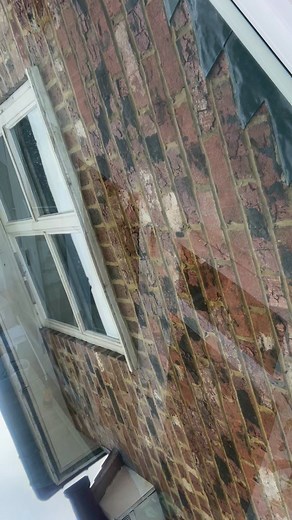 Conservatory roof clean, all ready for garden time☀️ #guttercleaning #guttermaintenance #guttercleaningservices #blockedgutters #HomeImprovement Deansgutters.com | Deans Gutters