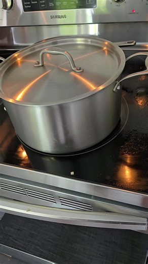 Master Steel Pan Cooking with This Full Recipe Guide