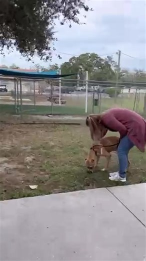 2.9K views · 131 reactions | TOMORROW! Join us for the Mega Merry...