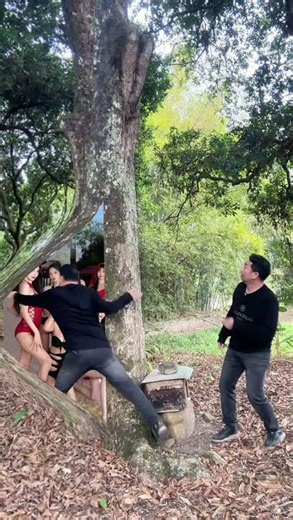 Scratch the bark to find beauty # funny effects # photos can sing