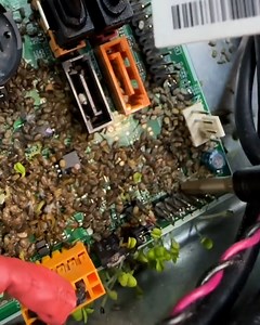 How does this happen?🌱🖥 | UNILAD Tech