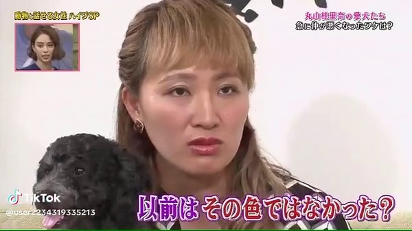 天才！志村どうぶつ園のハイジとわさお事件