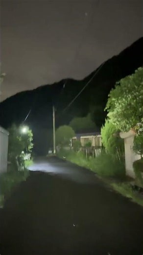 A wild boar beside the house! This is a common occurrence in Kitakyushu. It means you can't walk ...