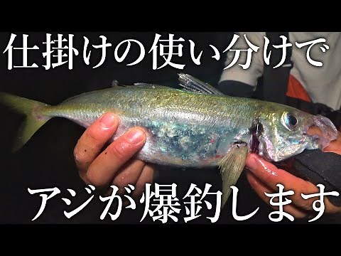 【驚くほどアジが釣れる！】アジ釣りに重要な仕掛けの種類とサビキやカゴの選択方法を解説します