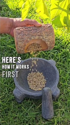 The Secret Root Booster Hidden in Your Kitchen