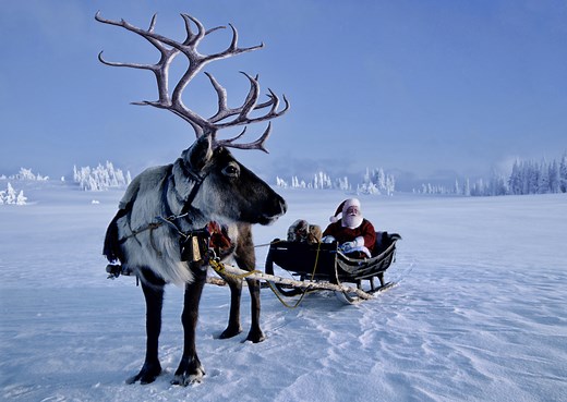 How many reindeer does Santa have and what are their names?