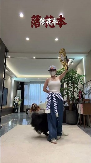 Dog Dance Challenge: How Many Kicks for Support? 🐾 DogDance PetVlog